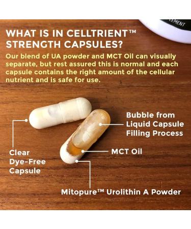 Celltrient Strength Capsules 56 Count - Potent Antioxidant Supplement (Pack of 1) - Buy Online on GoSupps.com