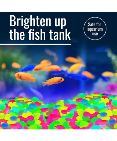 Graham Products 450 PCs Multi-Colored Glow in the Dark Rocks - Indoor & Outdoor Decorative Pebbles for Garden Fish Tanks Walkways & Planters - Buy Online on GoSupps.com
