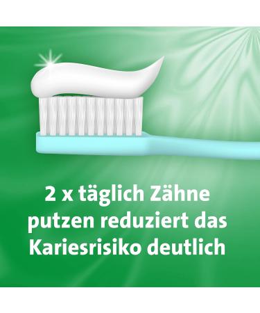 Fresh Mint Toothpaste 4 Pack (75ml) | Extra Fresh Breath & Gum Care | Free Minty Freshness Pack - Buy Online on GoSupps.com