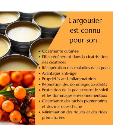 GREEN IDEA Sea Buckthorn Balm Hand Cream Natural Cosmetics Moisturizing Cream Intensive Protection of Skin and Nail Bed Regenerating and Soothing Effect 100ml - Buy Online on GoSupps.com