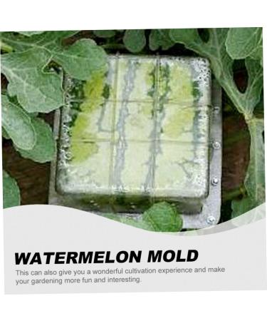 Uonlytech Watermelon Shaping Fruit Tools Pumpkin Growing Molds for Garden Vegetable Shaping Tool Watermelon Modeling Big Rod 15x15cm Transparent - Buy Online on GoSupps.com