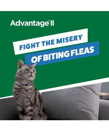 Advantage II Flea Treatment for Kittens - 2 Pack, 0.041 LB - Buy Online on GoSupps.com