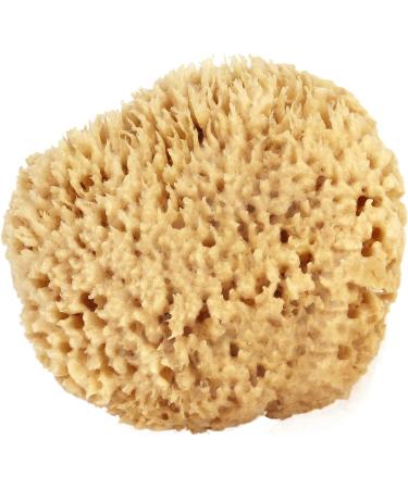 Medium Sea Wool Sponge 4-5 inches - Bath & Shower Express - Natural Renewable Resource - Buy Online on GoSupps.com