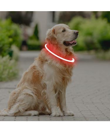 Coolzon LED Luminous Dog Collar - Waterproof & Adjustable with 3 Light Modes for Small & Medium Pets - Super Bright Red - Buy Online on GoSupps.com
