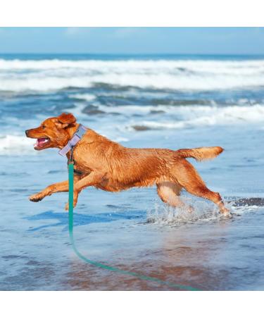 Shop Wolfone 6m Viridiangr n Waterproof Dog Tow Lines - Durable Training Leash for Recall Swimming Camping & Outdoor Adventures - Buy Online on GoSupps.com