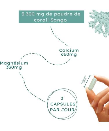 Nature Basics Sango Coral in Pot | 180 Vegan Capsules - 2 Month Supply | 3.300mg Sango Coral Powder Including 660mg Calcium & 330mg Magnesium Per Daily Dose - Buy Online on GoSupps.com