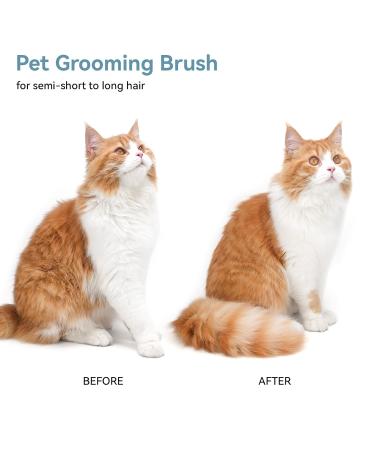 Self-Cleaning Cat Brush for Short-Haired Cats | Aumuca Pet Hair Brush - Removes Mats & Loose Fur (Green) - Buy Online on GoSupps.com