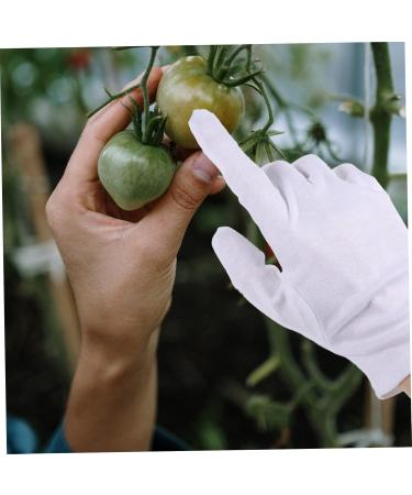 SOLUSTRE 2 Pairs White Touchscreen Touch Screen Glove for Gardening White Cleaning Mitt Work Durable Men and Women Thin Outdoor - Buy Online on GoSupps.com