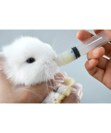 Pet Feeding Bottle & Syringe Set with Silicone Nipples - Ideal for Dogs, Cats, Puppies, and Wild Animals - Buy Online on GoSupps.com