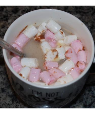 Hot Chocolate Bombs with Marshmallow Handmade Individually wrapped set of 3 - Buy Online on GoSupps.com