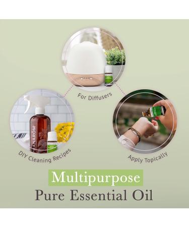 Pranarom - Aromaforce Immune Defence Wellness Blend - Eucalyptus, Rosemary, Peppermint, Corriander, and Clove Bud - 100% Pure Essential Oil Blend | USDA and ECOCERT Certified Organic (5ml) Rosemary,Eucalyptus 0.17 Fl Oz (Pa  - Buy Online on GoSupps.com