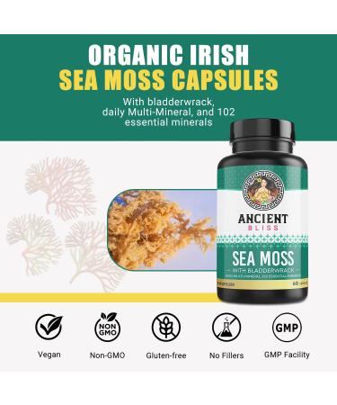 Ancient Bliss Organic Irish Sea Moss Pills - 120 Capsules - Buy Online on GoSupps.com