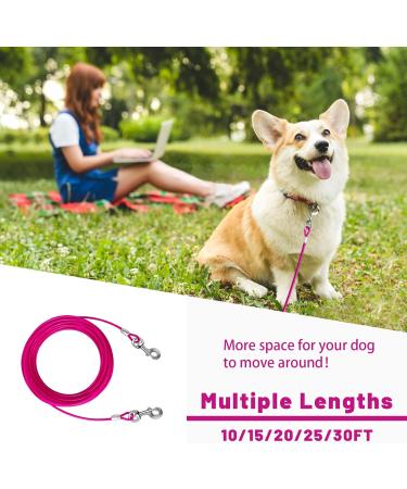Haiyuan Dog Tie Out Cable - 10/15/20/25/30 FT Steel Wire Dog Runner Durable Clips Pink Dog Chain for Outdoors Supports Dogs up to 165 LBS - Buy Online on GoSupps.com