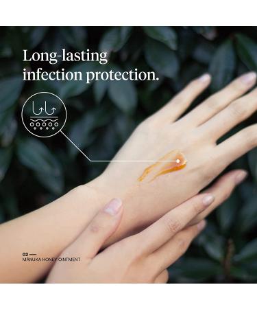 First Honey Sterile Manuka Honey Ointment - 100% Medical Grade for Burns, Wounds, Cuts - 1.0oz (Pack of 1) - Buy Online on GoSupps.com