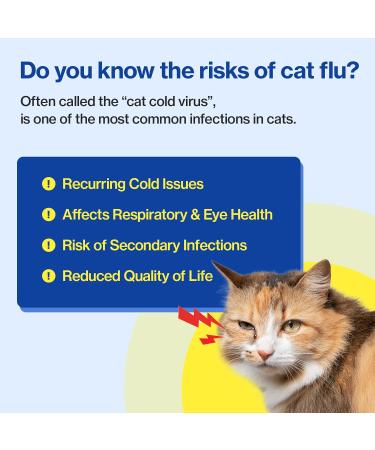 Doctor By FELYSIN (Feline + L-lysine) L-lysine for Cats Lysine Supplements Immune Support Allergy Relief Sneezing Runny Nose Watery Eyes Respiratory Treatment with Beta-glucan 30 Lickable Formula - Buy Online on GoSupps.com