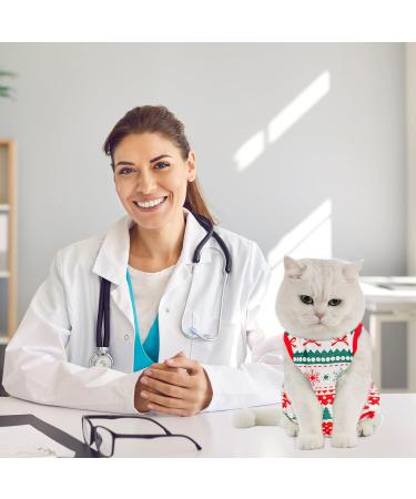 Avont Katzenbody: Optimal Recovery Suit for Cats | Post-Surgery Leak Protection Abdominal Wounds & Skin Care | International Shipping Available - Buy Online on GoSupps.com