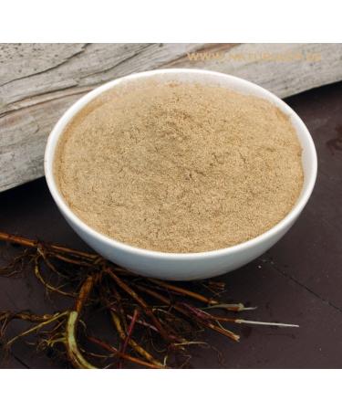 Naturix24 Naturix24 Ground nettle root bag of 500 g