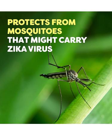 OFF! Deep Woods Mosquito Repellent Wipes - 12 Individually Wrapped, Long-Lasting Formula - Buy Online on GoSupps.com