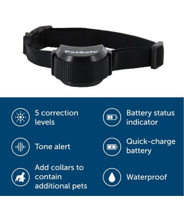PetSafe Stay + Play Wireless Fence Receiver Collar for Dogs and Cats Waterproof and Rechargeable Tone and Static Stimulation Receiver Collar Only - Buy Online on GoSupps.com
