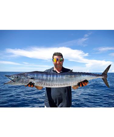 EXP VISION Polarized UV 400 Cycling Sports Sunglasses - Blue - Buy Online on GoSupps.com