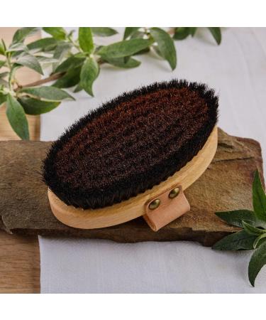 Professional Energy Body Brush Oval Shape | Beech Wood | The Energetic One - Enhance Your Wellness and Skincare Routine - Buy Online on GoSupps.com