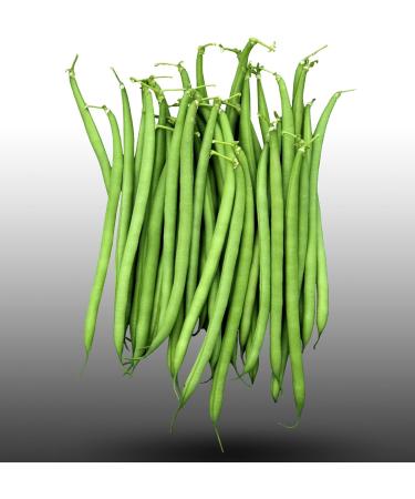 75 g Seeds to sow Le Grenier dAbondance Delinel bean Phaseolus vulgaris - Buy Online on GoSupps.com