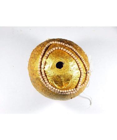 Phoenix888 Enchanted One Eye One Mouth Coconut for Good Luck Rahu Coconut Lucky One Haunted