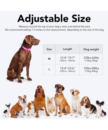 Koskill Luminous LED Dog Collar - Waterproof Adjustable & Super Bright for Medium to Large Dogs - USB Rechargeable & Stylish Design - Buy Online on GoSupps.com