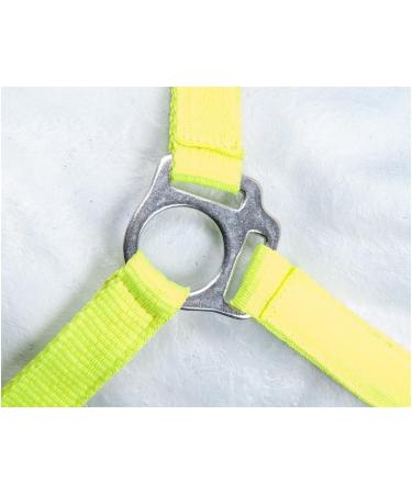 RL24 Nylon Halter BASICLINE - Neon Green for Thoroughbreds | International Shipping Available - Buy Online on GoSupps.com