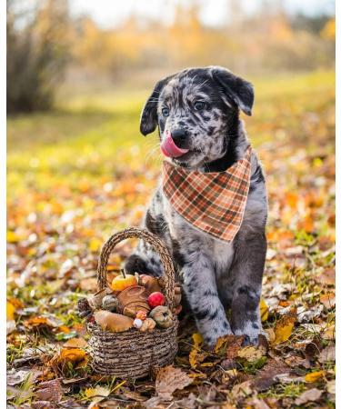 Lionet Paws Dog Bandana Headscarves | Triangular Scarf for Small Medium & Large Dogs | Orange & Black Checked Design - International Shipping Available - Buy Online on GoSupps.com