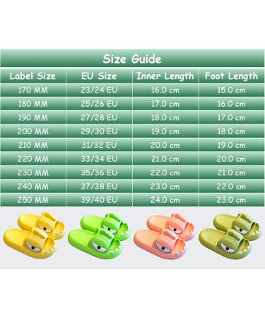 Yeteeepot Children's Summer Slippers - Boys & Girls Cartoon Slides Beach Sandals in Light Green (27/28 EU) - Buy Online on GoSupps.com