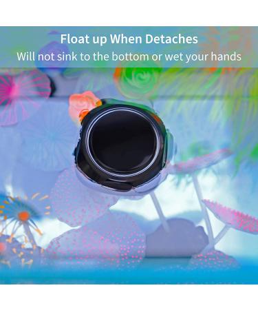 Pawfly Algae Scraper Magnetic Brush for Nano Fish Tank Glass - 2 Inch - Buy Online on GoSupps.com