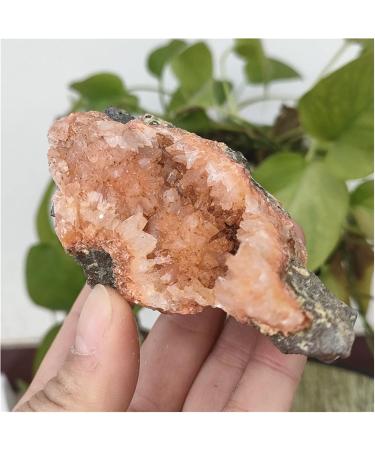 Natural Crystal Rough Rare Natural Raw India Zeolite Cluster Irregular Rough Stone Crystal Rock Ornaments Specimen Reiki Decor PEIQIYIN (Size : 45-50g) - Buy Online on GoSupps.com