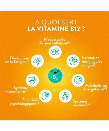 NUTRI & CO Vegan Vitamin B12 1000 mcg - Pure & Bioavailable Patented Methylcobalamin - High Absorption - Anti Fatigue & Immunity - 120 Gluten-Free Capsules - Packaged in France - Buy Online on GoSupps.com