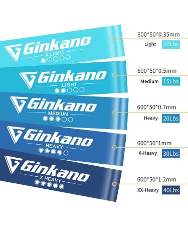 Haquno Elastic Fitness Band Set - 5 Resistance Bands for Strength Training Pilates & Yoga - Natural Latex 5 Starch Levels Includes Storage Box - Blue - Buy Online on GoSupps.com