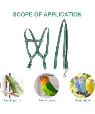 Ruqias Pet Bird Harness Leash for Macaw Cockatoos with Buckle Adorable Rainbow Design Safe Parrot Leash Pet Harness Outdoor Adjustable Anti Bite Training Rope for Macaw Large Size Bird L Green - Buy Online on GoSupps.com