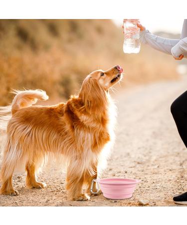 2 Pack Foldable Travel Bowls for Dogs - Silicone Water & Food Bowls Durable & Dog-Proof Perfect for Pets on the Go (Pink & Blue) - Buy Online on GoSupps.com