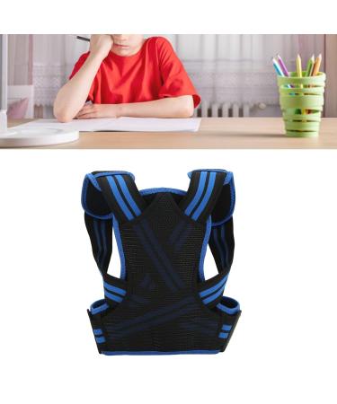 Posture Corrector Back Straightener Belt Support Elastic Comfortable Brace for Men Women (Blue) L Blue - Buy Online on GoSupps.com