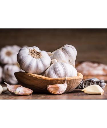  TASTY POTT Tasty Pott Organic Garlic Granules 250g | Cooking & Seasoning | Roasting & Marinating | Knobi Flavor Garlic Granules | Organic Quality | Economy Storage Bag - Buy Online on GoSupps.com