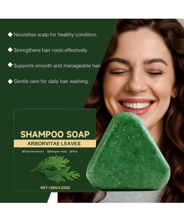  WRANBAO Nature Triangle Shampoo Bar Solid Plant-Based Shampoo for Oily Hair for Dandruff Purifying Soap with Tree of Life Leaves Shampoo for Thinning Hair Cleansing (1 - Buy Online on GoSupps.com