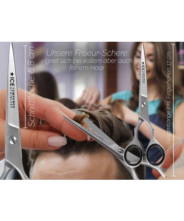 Premium Hairdressing Scissors with Micro Toothing - RW Solingen 5 | Includes Storage Case - 12.7 cm - Perfect for Professionals - Buy Online on GoSupps.com