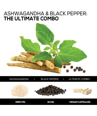 Organic Ashwagandha Capsules - Extra Strength Stress & Immune Support - 60 Count (Pack of 1) - Buy Online on GoSupps.com