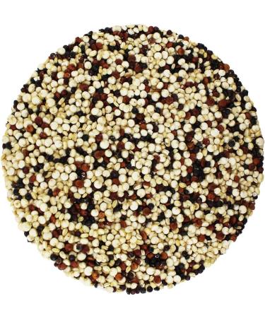 Organic Quinoa Grain (Tricolour) 5kg (BWFO) - Buy Online on GoSupps.com