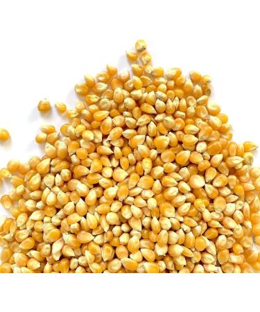 Popping Corn Kernels (900g) | Popcorn Seeds X-Large Bag 900g | Stovetop & Popcorn Maker Friendly - Buy Online on GoSupps.com