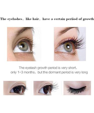  Sloane Boost Lashes | Eyelash Growth Liquid Eyelash Repair Reshape Natural Lashes for Eyelash Growth - Buy Online on GoSupps.com
