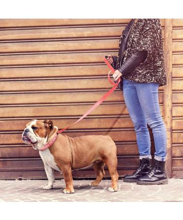 Personalized Reflective Dog Collar & Leash Set - Tagme 1.5m Double-Sided Leash for Large Dogs - Babyrosa (1 Pack) - Buy Online on GoSupps.com
