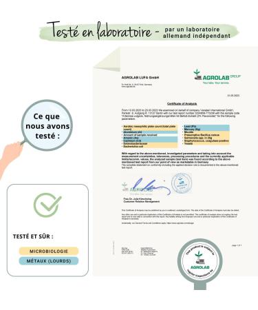 Sagewort Vegavero | High Dosage: 600 mg Artemisia Vulgaris Extract per Capsule | No Additives | 180 Capsules (6 Months) | VEGAN - Buy Online on GoSupps.com