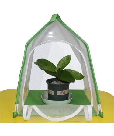 2 Pcs Portable Habitat | Insect Habitat Cage Catcher Plant Net with Hook Polyester Mesh Cage Enclosure for Caterpillars Stick Insect 12.2x12.2x15.7 Inch Kot-au 2 Pcs 31*31*40cm - Buy Online on GoSupps.com