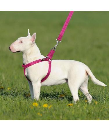Plutus Reflective Step-In Dog Harness | Adjustable & Secure | Metal Buckles | Easy-Walk | Hot Pink | Medium - Buy Online on GoSupps.com