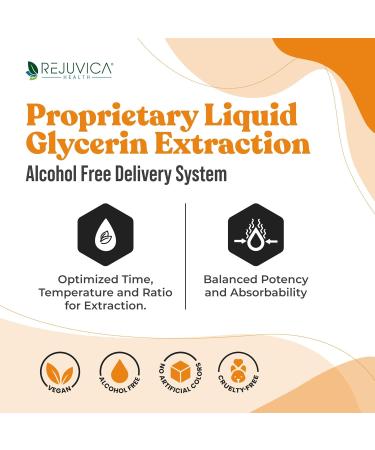 Rejuvica Health Activated Male - Advanced Male Libido Support Tincture - Enhanced Liquid Delivery for Better Absorption - Ashwagandha Mucuna Tongkat Ali Tribulus & More! 1 - Buy Online on GoSupps.com